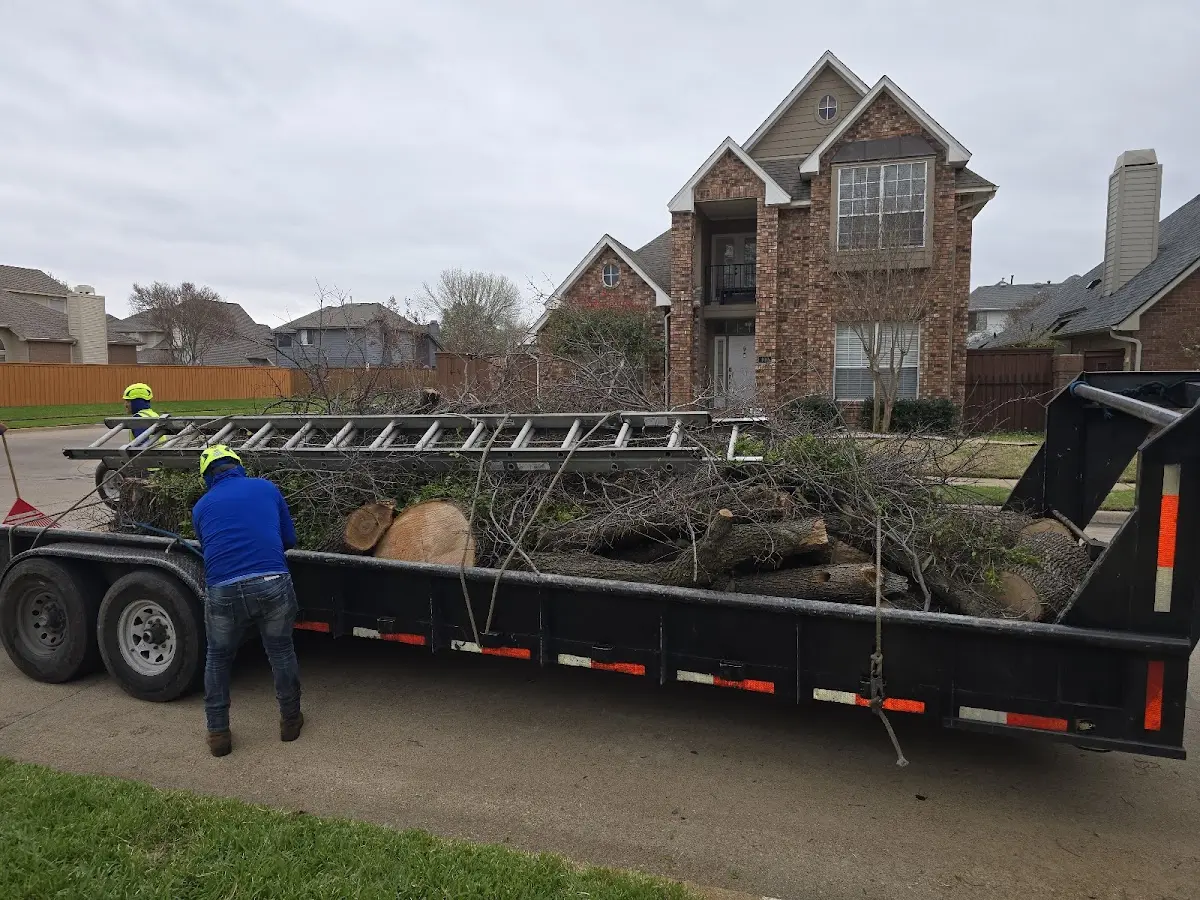 Expert Tree Fertilization with proper safety equipment in Laurel Hill